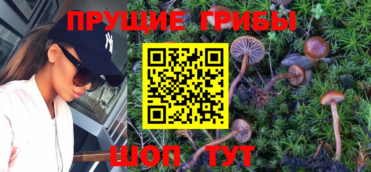 Псилоцибиновые грибы мицелий Вольск